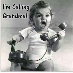 Meet your Posher, Ann